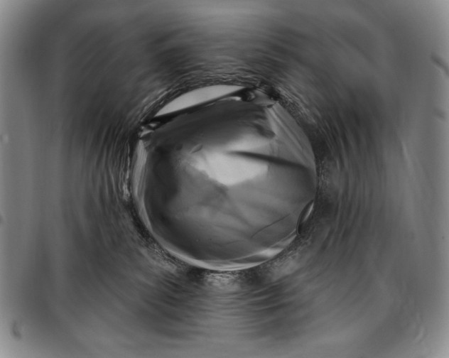 X0000096680139200802191400