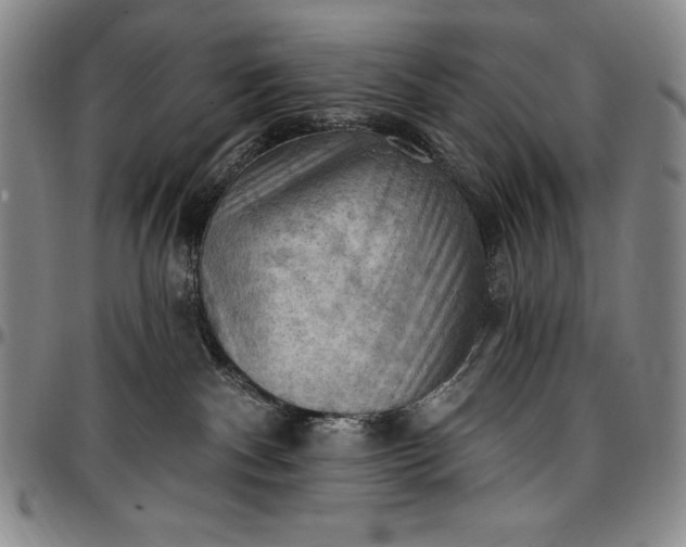 X0000096680140200802191400