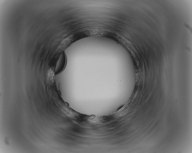 X0000096680142200802191400