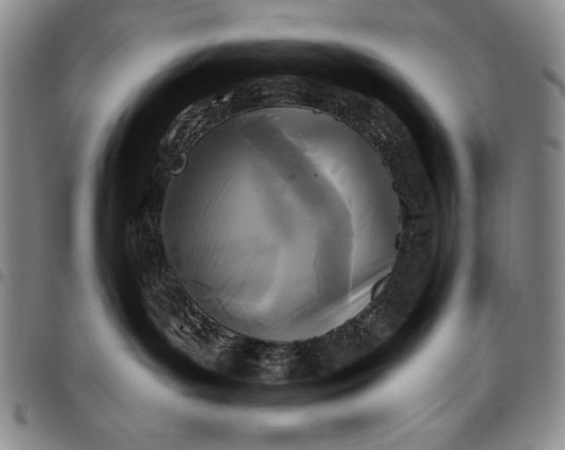 X0000096680143200802191400