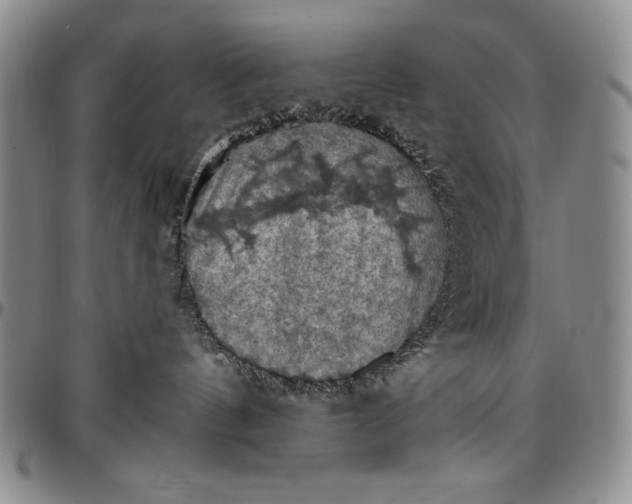 X0000096680144200802191400
