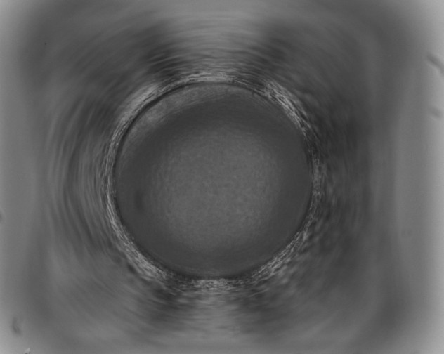 X0000096680145200802191400