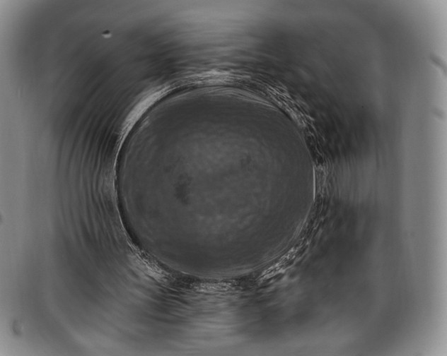 X0000096680147200802191400