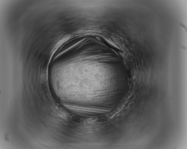 X0000096680148200802191400