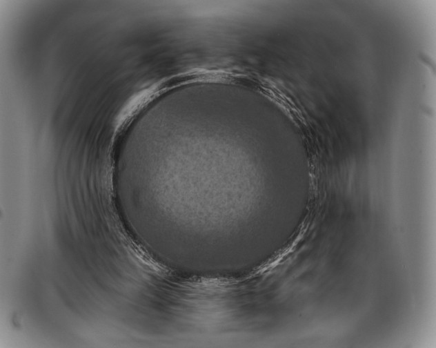 X0000096680149200802191400