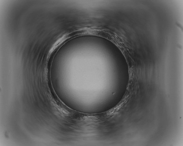X0000096680150200802191400