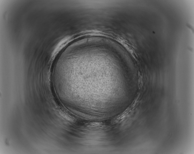 X0000096680151200802191400