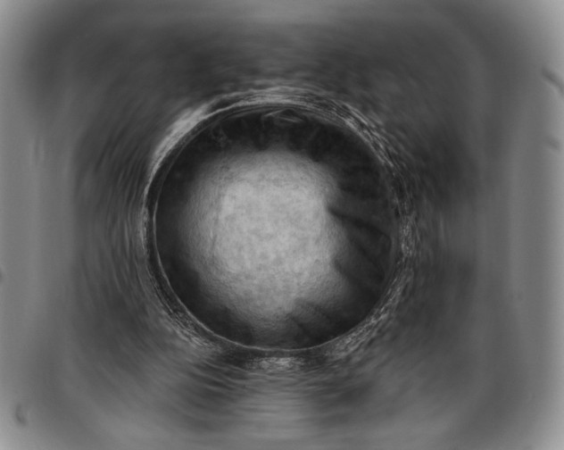 X0000096680152200802191400
