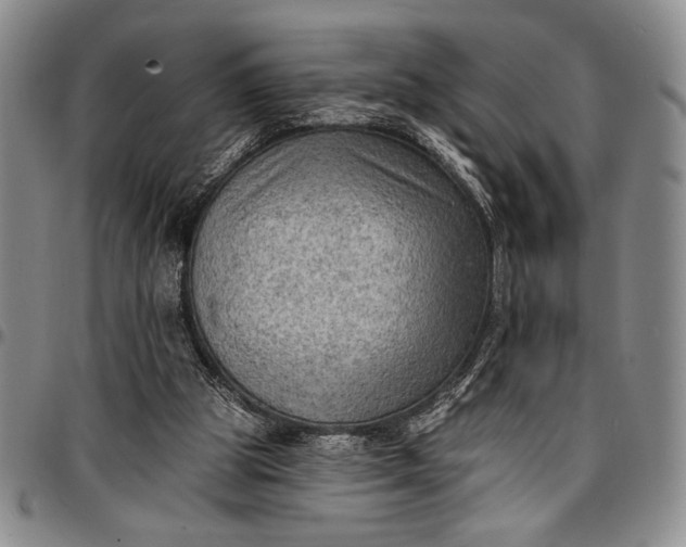 X0000096680153200802191400