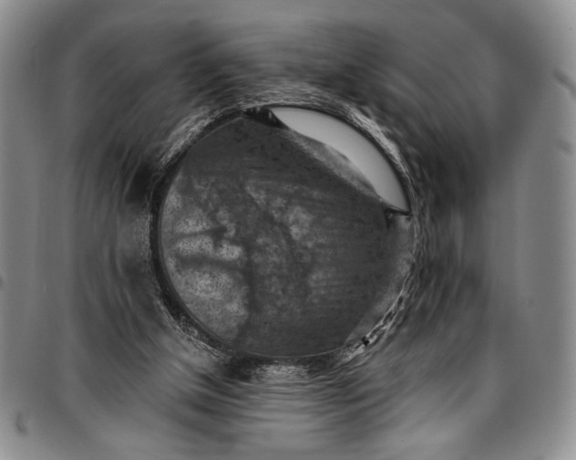 X0000096680154200802191400