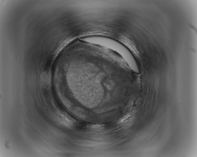 X0000096680156200802191400