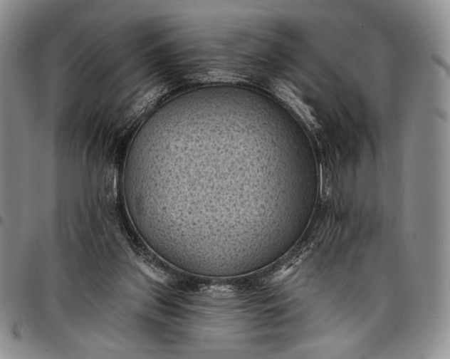 X0000096680157200802191400