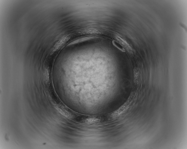 X0000096680158200802191400