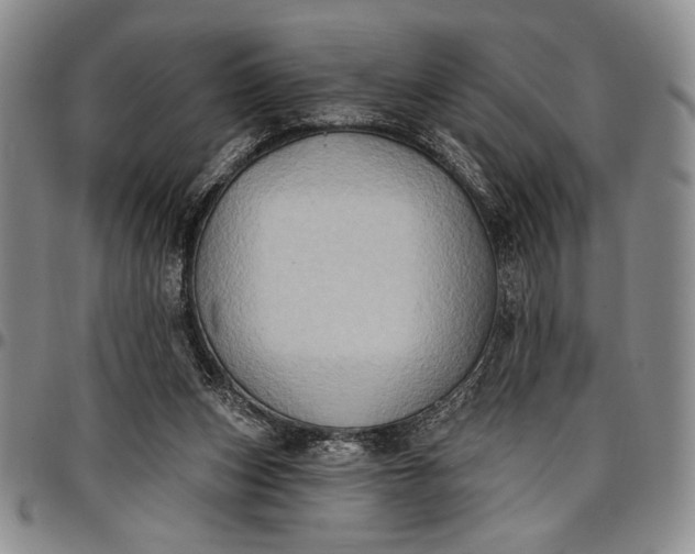 X0000096680159200802191400