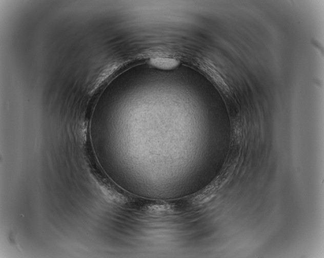 X0000096680160200802191400