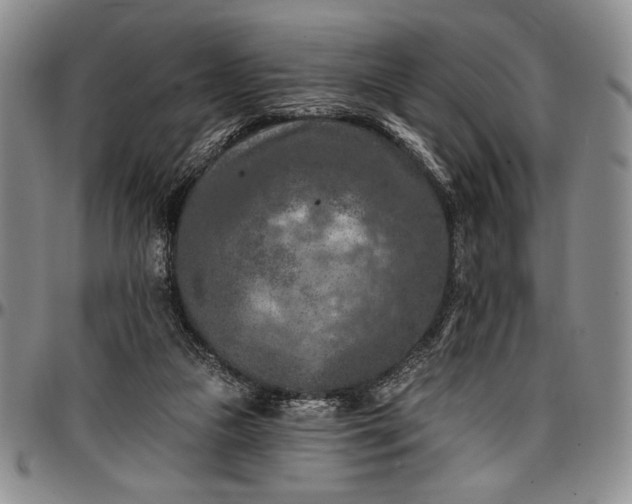 X0000096680161200802191400
