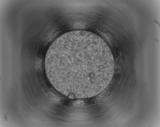 X0000096680162200802191400