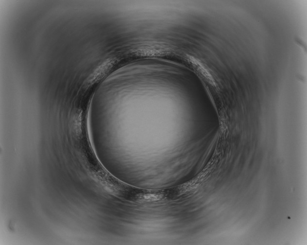 X0000096680163200802191400