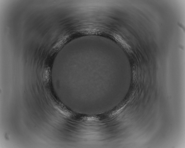 X0000096680165200802191400