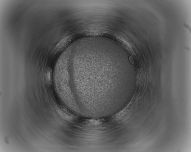 X0000096680166200802191400