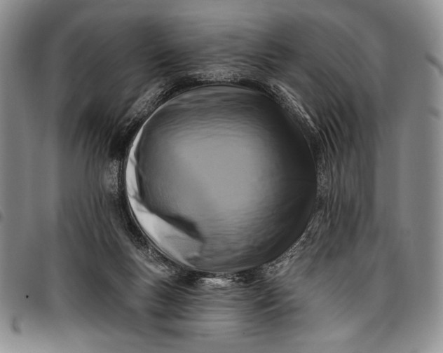 X0000096680167200802191400
