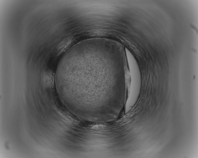 X0000096680168200802191400