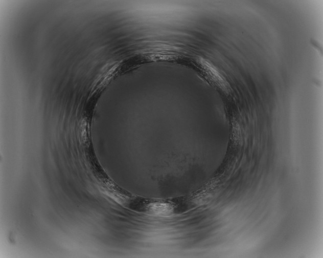 X0000096680169200802191400