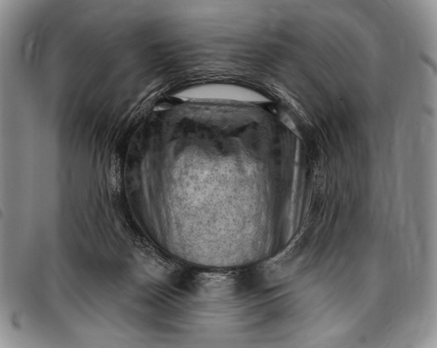 X0000096680170200802191400