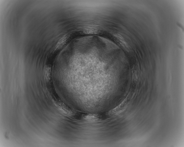 X0000096680171200802191400