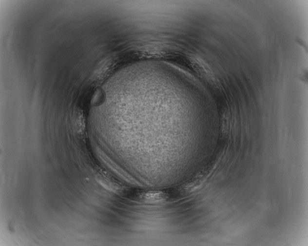 X0000096680173200802191400