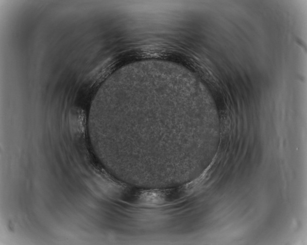 X0000096680174200802191400