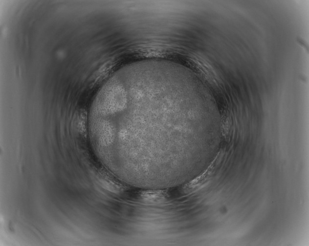 X0000096680175200802191400
