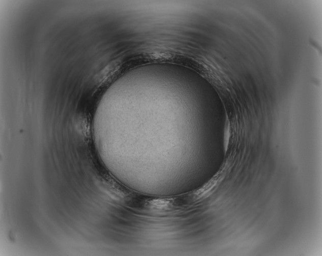 X0000096680176200802191400