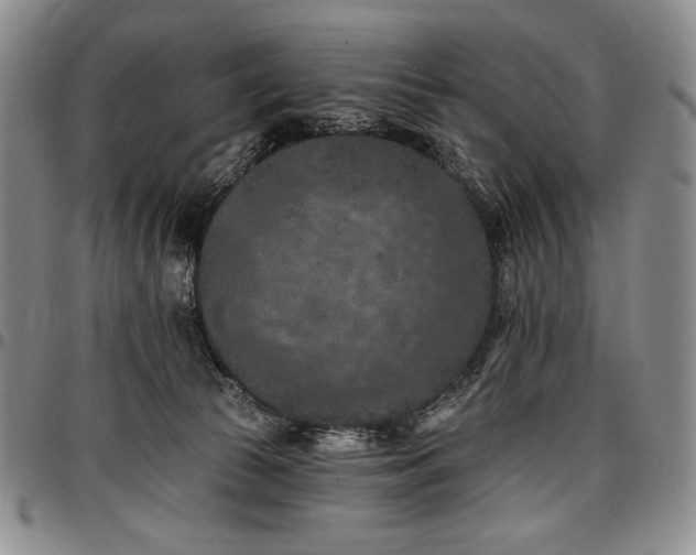 X0000096680177200802191400