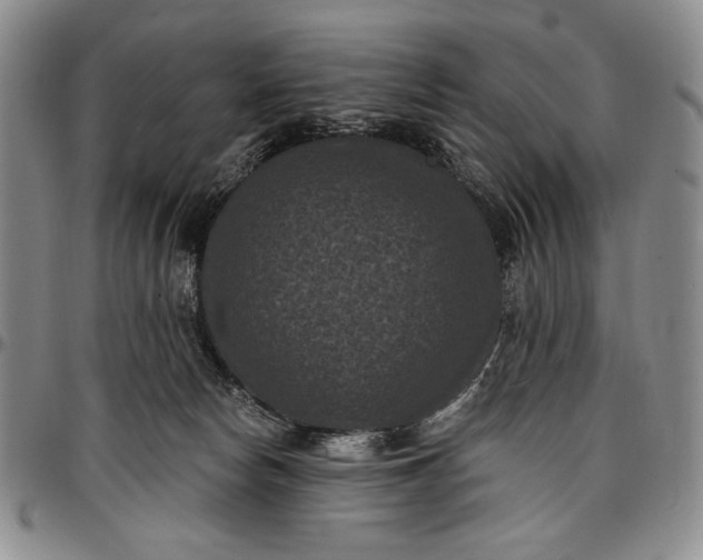 X0000096680178200802191400