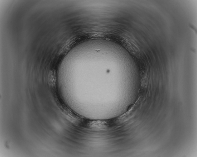X0000096680179200802191400