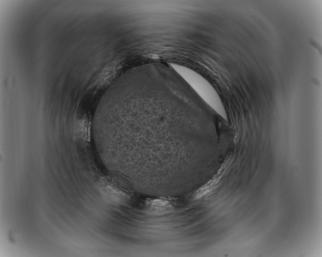 X0000096680180200802191400
