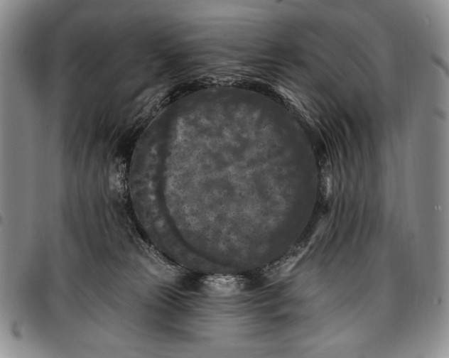 X0000096680181200802191400