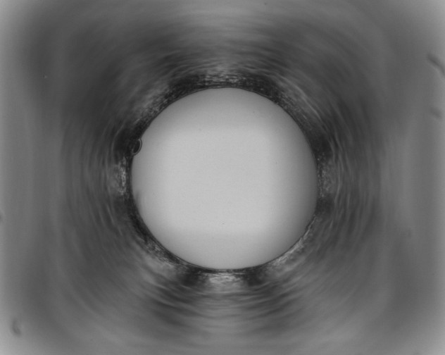 X0000096680183200802191400