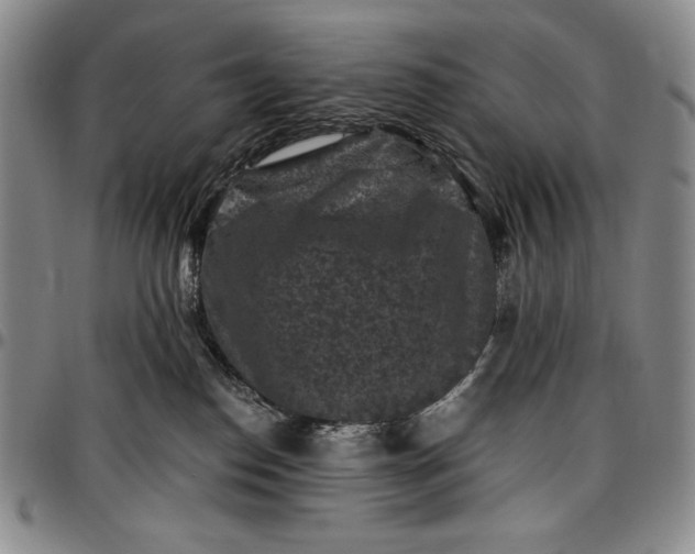 X0000096680186200802191400