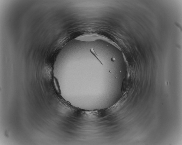 X0000096680188200802191400