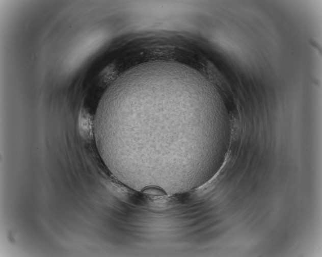 X0000096680191200802191400