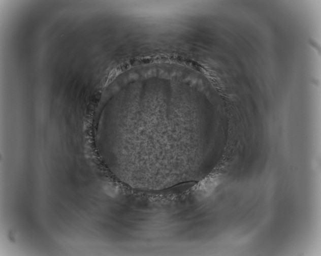X0000096680192200802191400