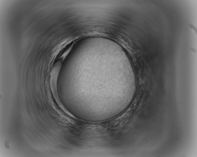 X0000096680193200802191400