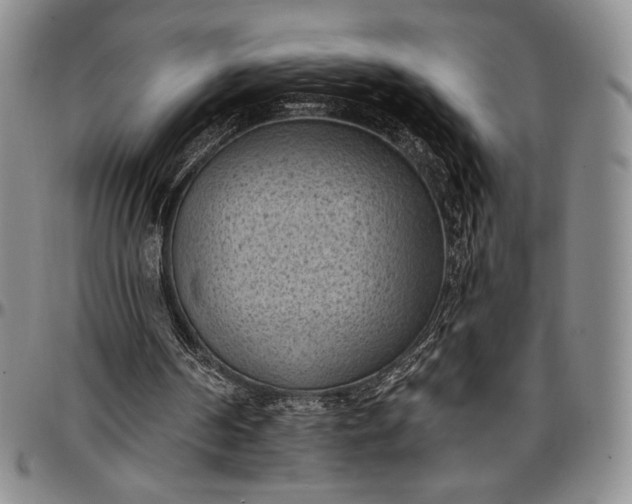X0000096680194200802191400