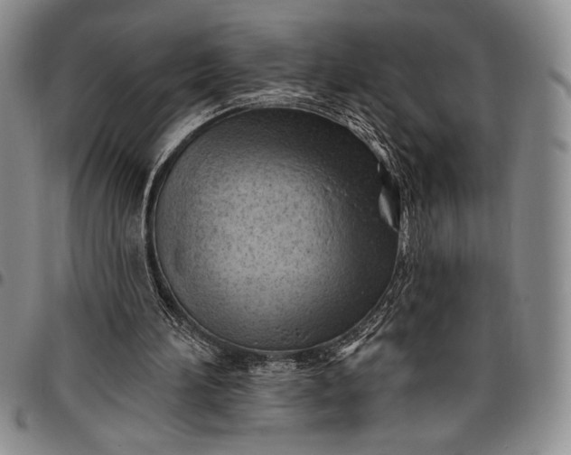 X0000096680196200802191400