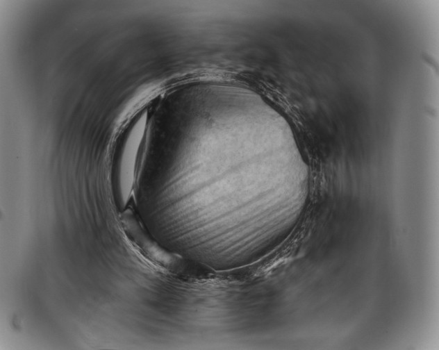 X0000096680197200802191400
