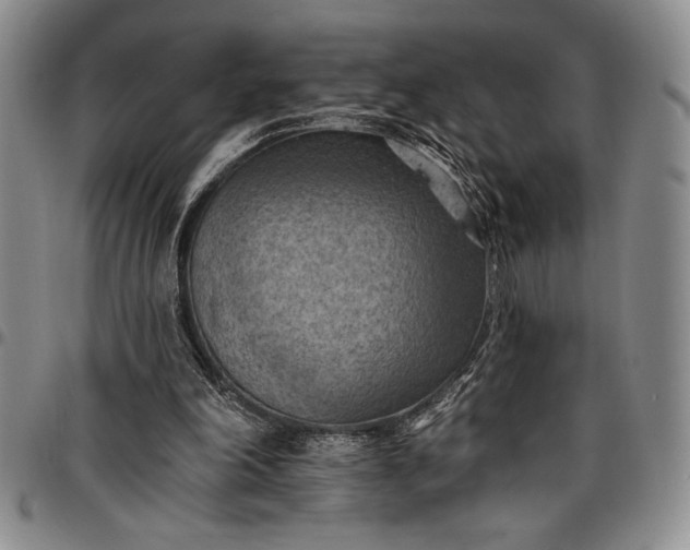X0000096680198200802191400