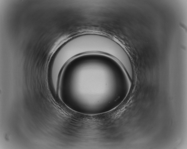 X0000096680199200802191400