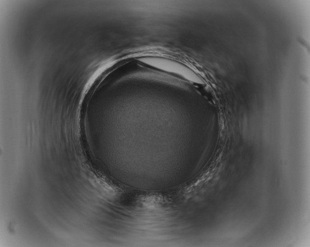 X0000096680200200802191400